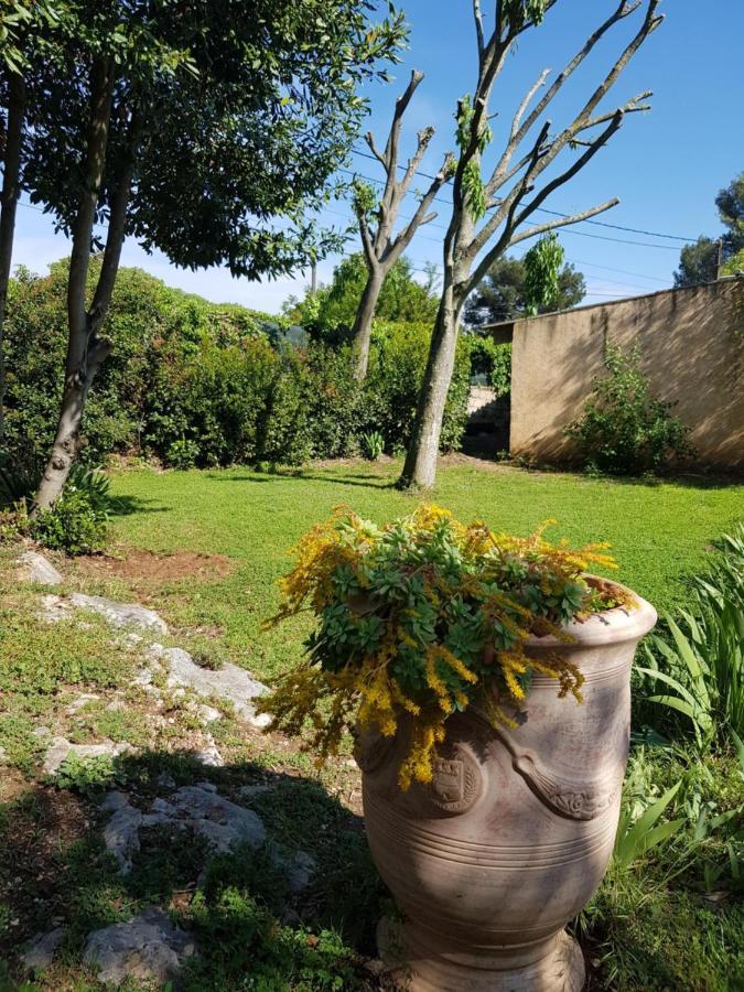 Cap Au Sud Sweet Home Nîmes Exteriér fotografie