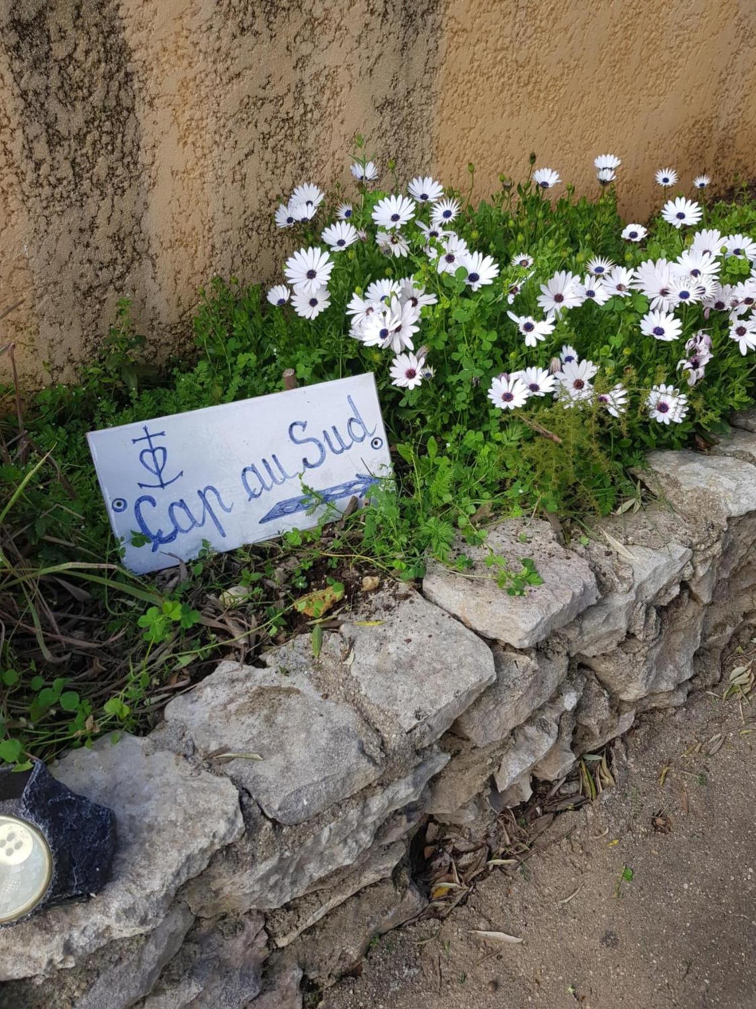 Cap Au Sud Sweet Home Nîmes Exteriér fotografie