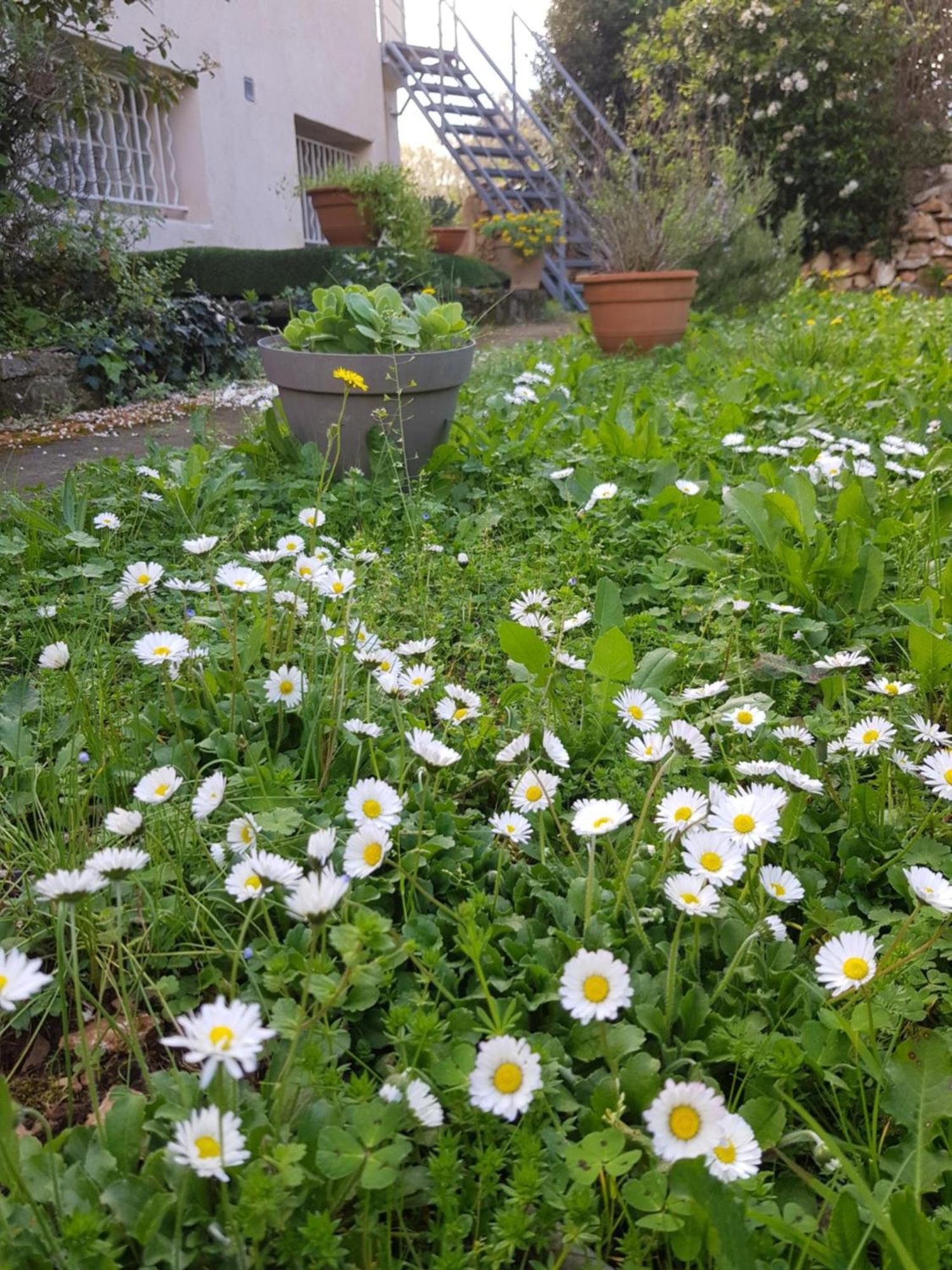 Cap Au Sud Sweet Home Nîmes Exteriér fotografie