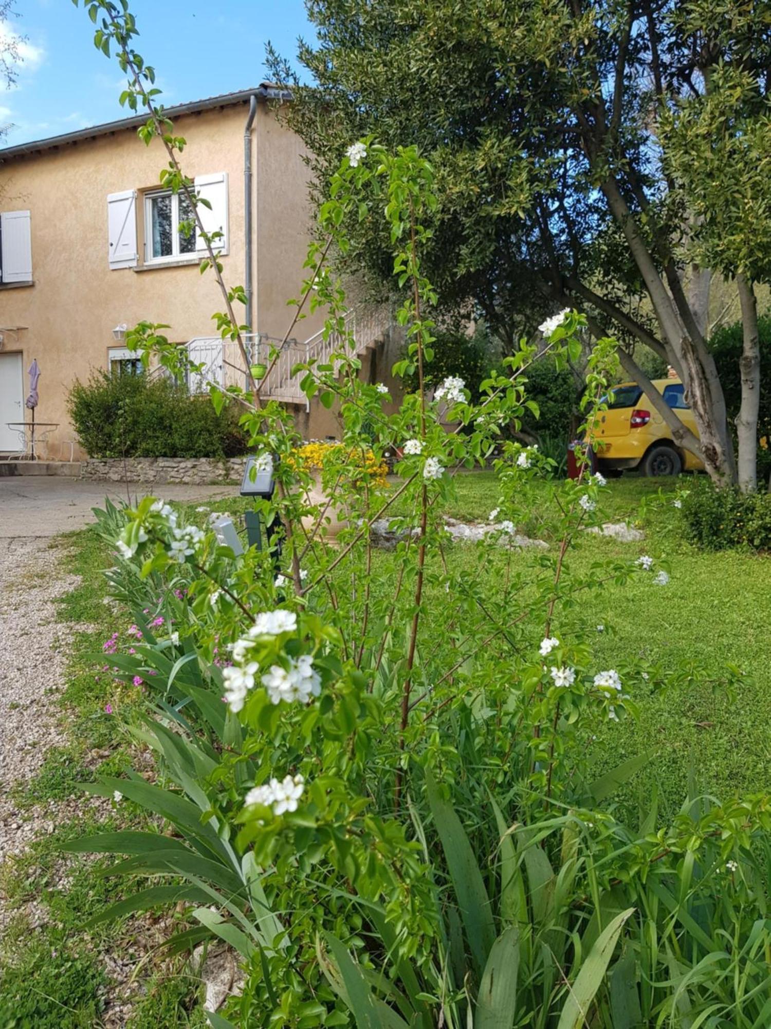 Cap Au Sud Sweet Home Nîmes Exteriér fotografie