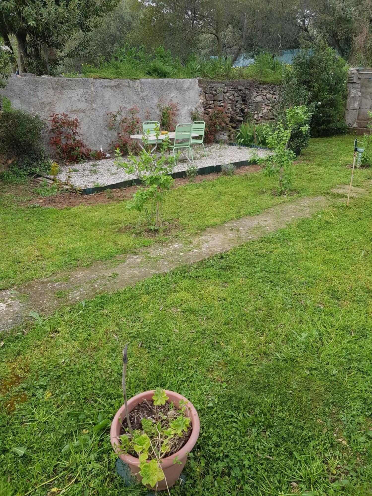 Cap Au Sud Sweet Home Nîmes Exteriér fotografie