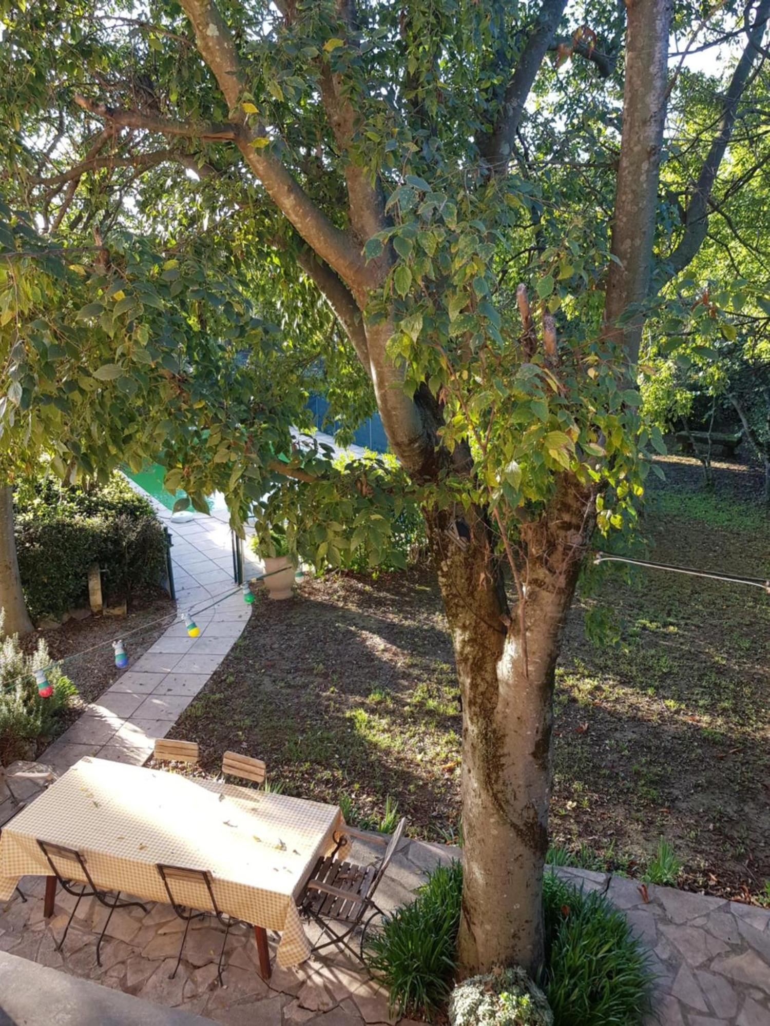 Cap Au Sud Sweet Home Nîmes Exteriér fotografie
