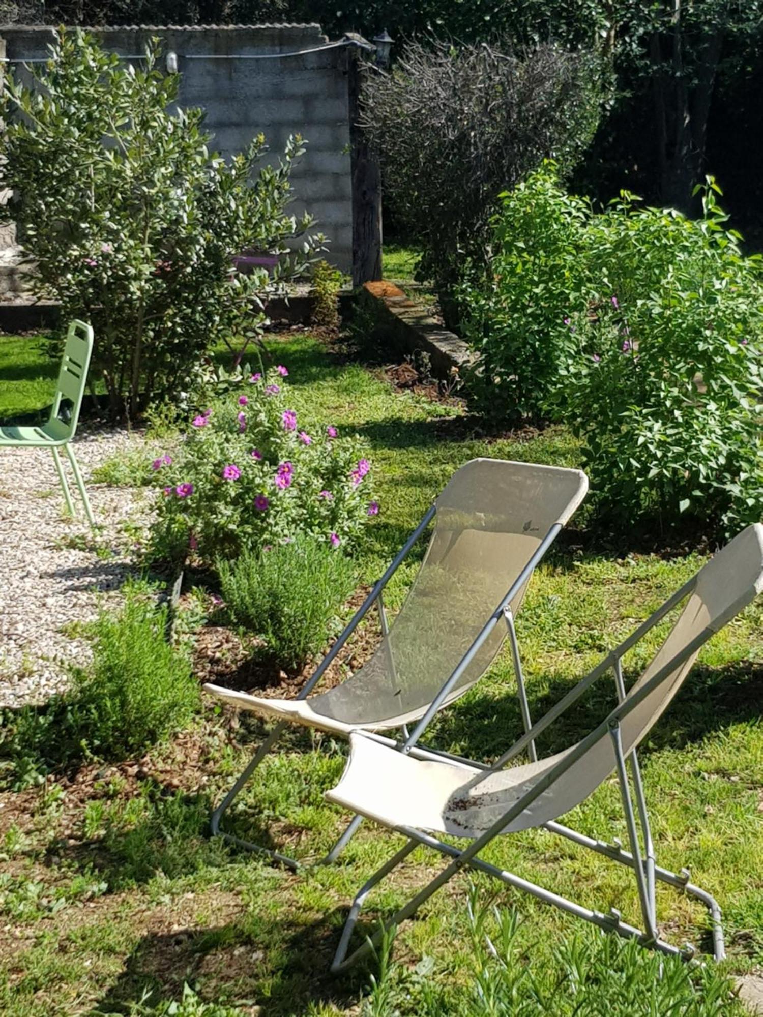 Cap Au Sud Sweet Home Nîmes Exteriér fotografie