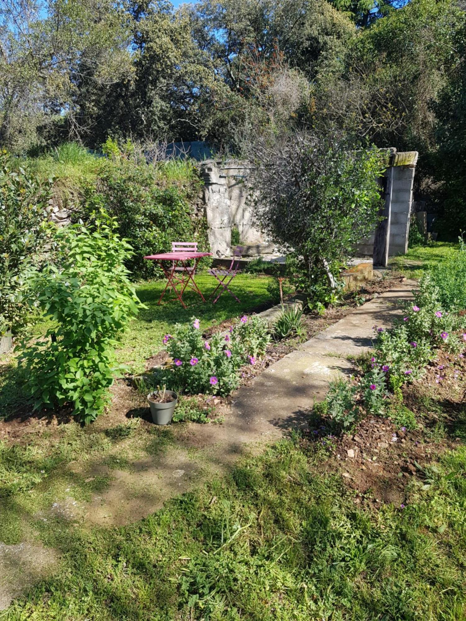 Cap Au Sud Sweet Home Nîmes Exteriér fotografie